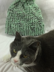 Buttons likes to help with pictures